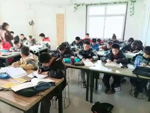 靖边河东翰艺书法培训中心寒假招生启动，早报享优惠